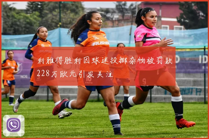 利雅得胜利因球迷投掷杂物被罚款228万欧元引发关注